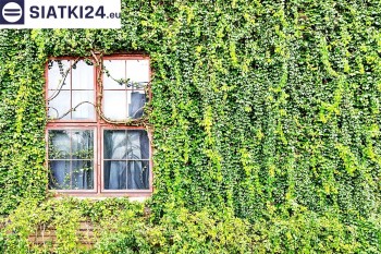 Siatki Żagań - Siatka z dużym oczkiem - wsparcie dla roślin pnących na altance, domu i garażu dla terenów Żagania